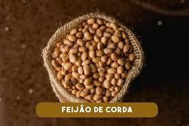 Feijão de corda 500 grs