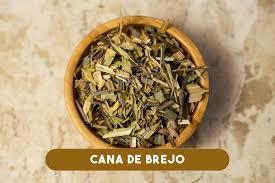 Cana do brejo 25 grs