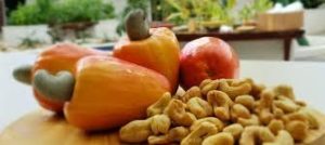 Castanha de caju tradicional 100 grs sem sal