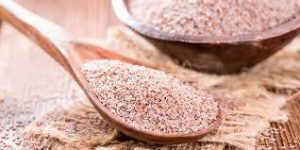 Psilium flocos 90% fibra 25 grs