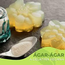 Agar Agar 50 grs