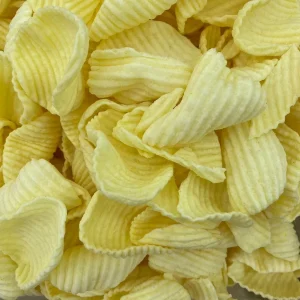 Chips de Batata Mexicana Cebola 100grs